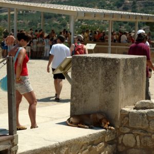 Read more about the article Knossos (3)