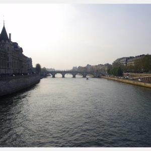 Read more about the article Pont Neuf